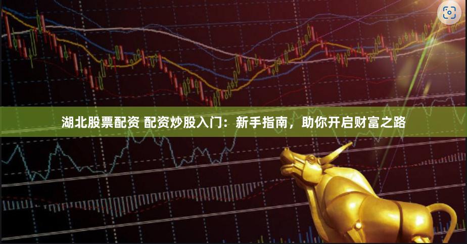 湖北股票配资 配资炒股入门：新手指南，助你开启财富之路