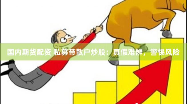 国内期货配资 私募带散户炒股：真假难辨，警惕风险